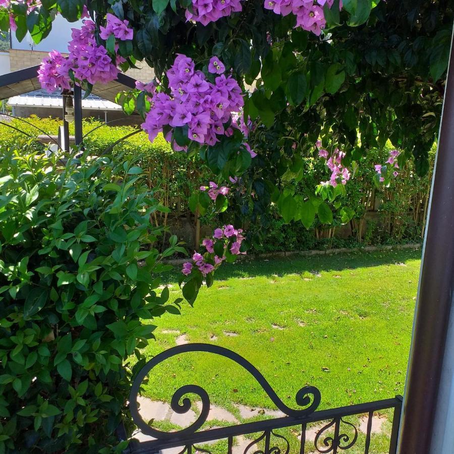 Manoppello La Bouganville Di Sante E Rosa מראה חיצוני תמונה